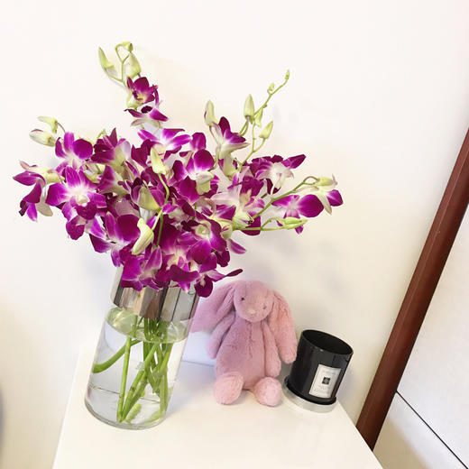 【周四团购】洋兰一份/29.9元 2人拼团 商品图0