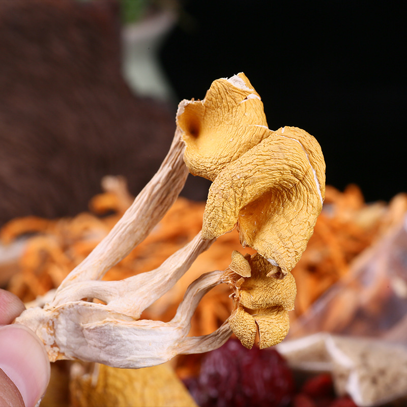 云南特产七彩菌汤包100g袋2羊肚菌类树菇类干货煲汤食材