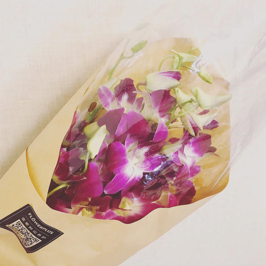 【周四团购】洋兰一份/29.9元 2人拼团 商品图3