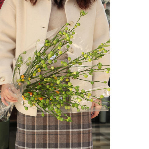 【周四团购】绿珊瑚一份/39.9元 2人拼团 商品图1