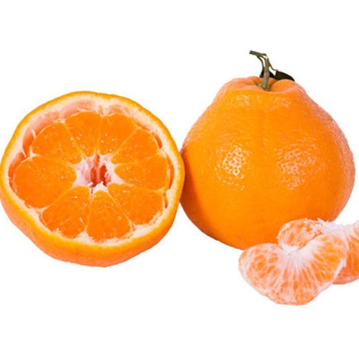 阿斯蒂娜正宗春见耙耙柑 商品图3