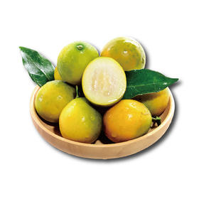 脆皮小金桔 1000g/圆润饱满 肉质细腻