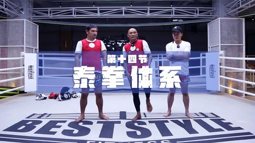 14.杀玉狼独家连续肘击揭秘（肘法的技术及路线变化） 商品图0