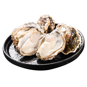 生蚝 5000g 鲜美爆汁 精致肥厚