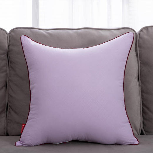 靠背枕芯子抱枕枕芯十字绣靠垫芯40 45 50 55 60 65 70正方形