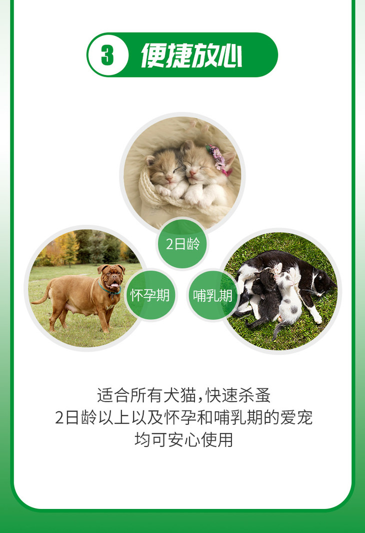 O1CN01keVot223LVdTEyZgv_!!2200597767239.jpg (790×1152)