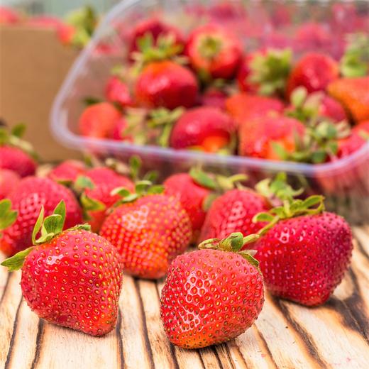 章姬草莓(300g/盒) Zhangji Strawberry 300g/盒 商品图0