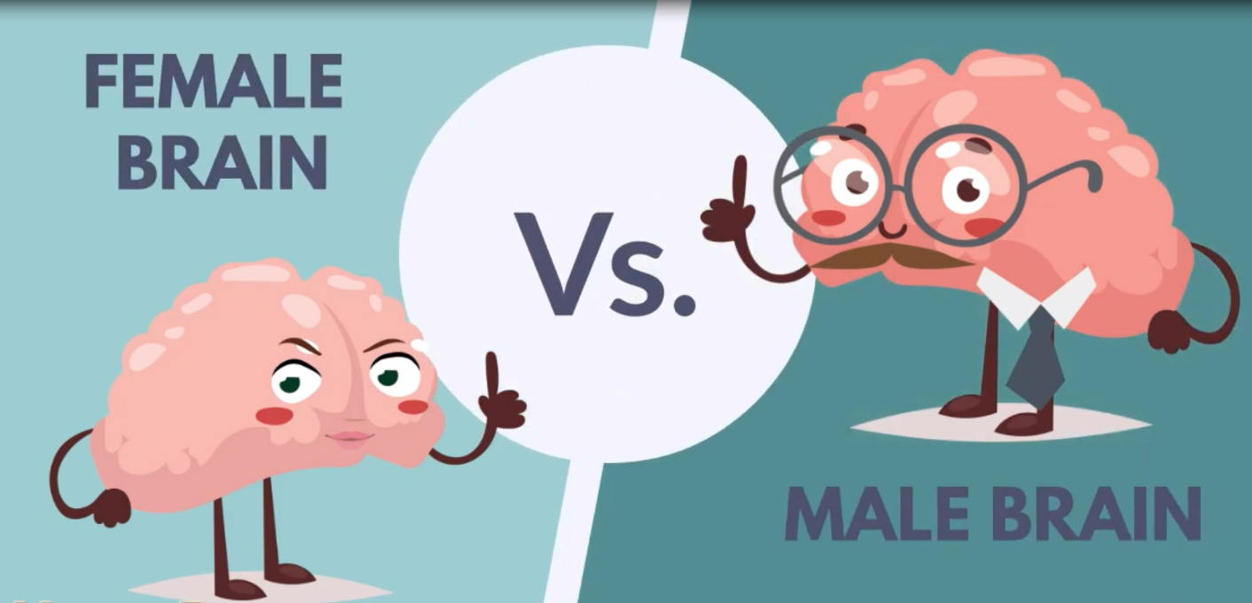 Lesson 3：拓展视频