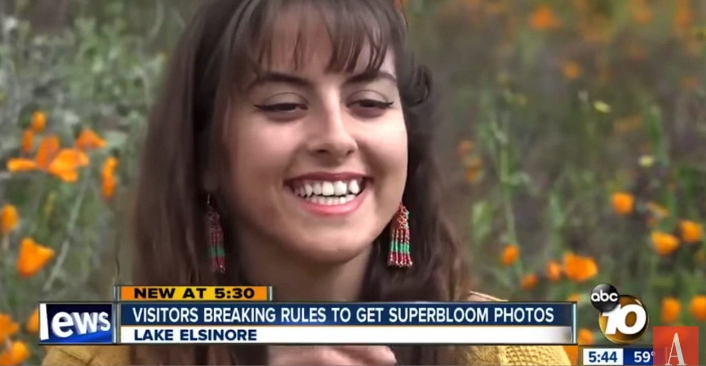 Lesson 8：拓展视频