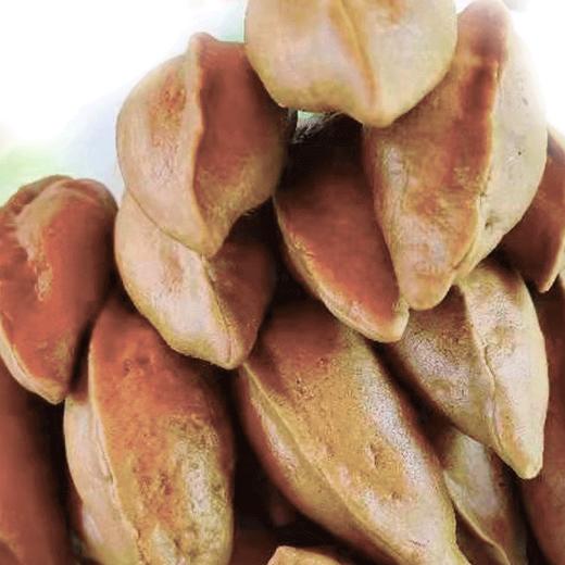 镇雄手工苦荞苏麻馅猪儿粑10个