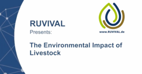 Lesson 10：拓展视频