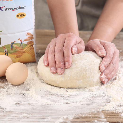 哈萨克斯坦高筋面粉 商品图3