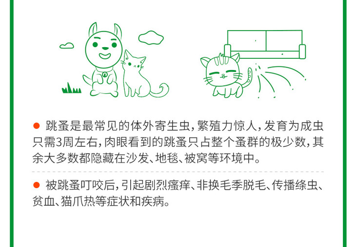 O1CN012sCFOA23LVdWCZiPX_!!2200597767239.jpg (790×550)