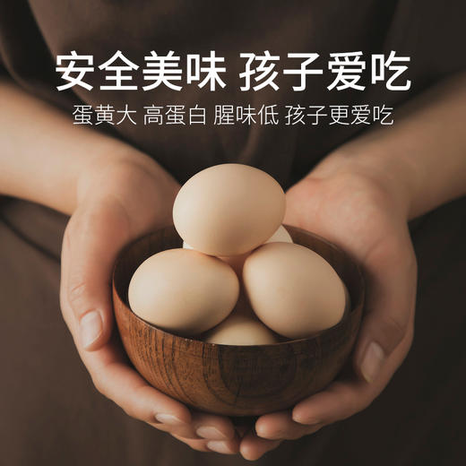 物本源高品质生态鸡蛋-盒装（10枚） 商品图1