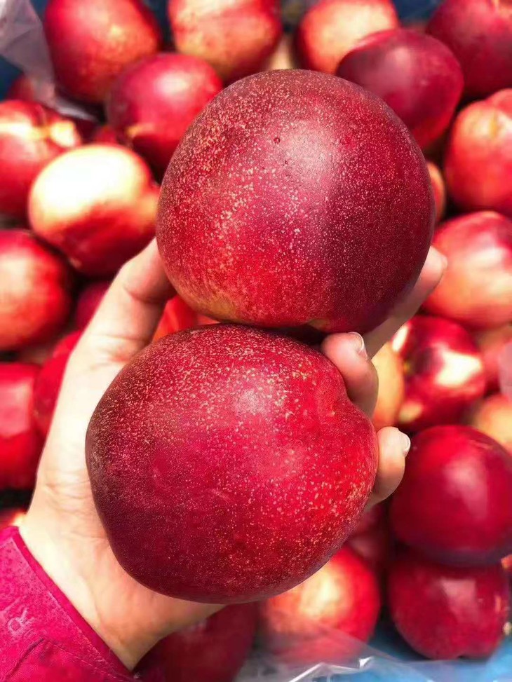 澳洲进口油桃一份约680g