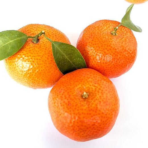 【3斤】广西马水桔3斤【当天提货】 商品图2