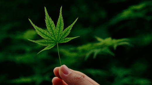 第一周 | 学员作业解答 商品图0