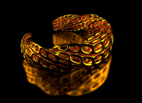 第四十九集：打印出来的珠宝、房子和心脏 商品图0