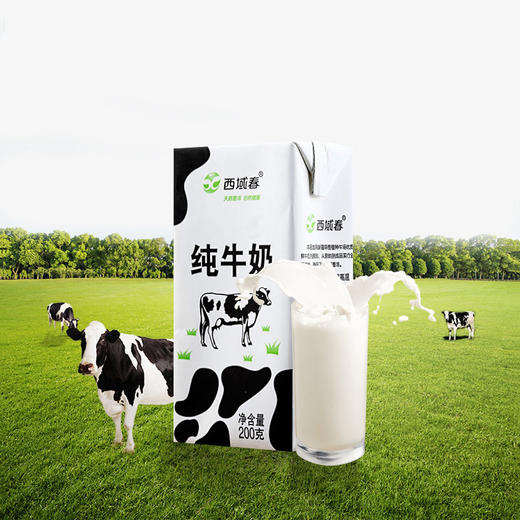 cn 全脂纯奶  1盒 商品图0
