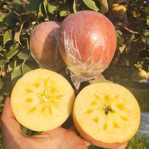 测评优品山西临猗红富士苹果重金属与农残均未检出脆甜可口皮薄多汁