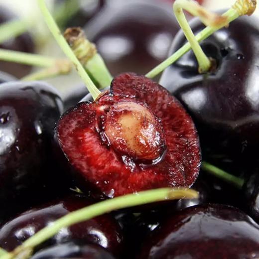 双JJ纯冰车厘子 商品图10