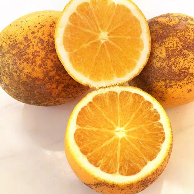 罗甸黑皮脐橙果肉香甜水份十足一口爆汁10斤礼盒装