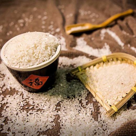 曹夹湖有机再生稻香米5kg 商品图1