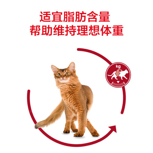 皇家I27/F32室内营养成猫粮2kg/10kg 商品图6