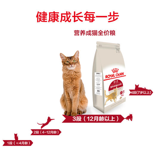 皇家I27/F32室内营养成猫粮2kg/10kg 商品图1