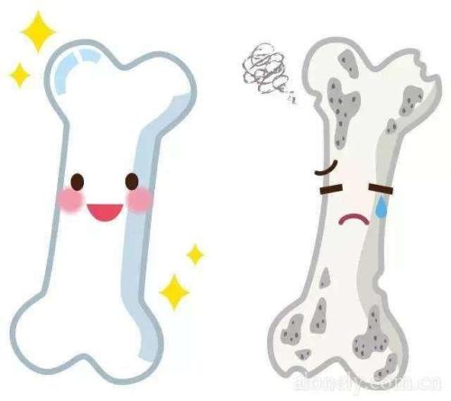 矿物质对人体的重要作用