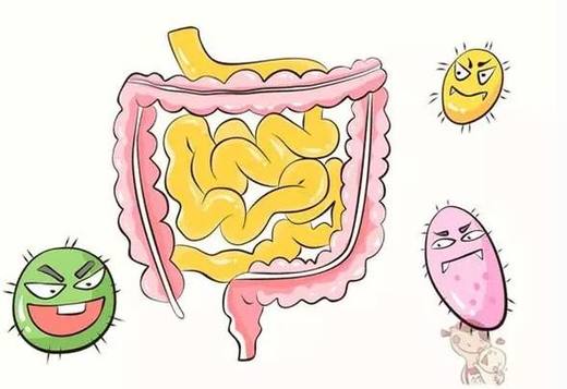 膳食纤维对人体的重要作用 商品图0