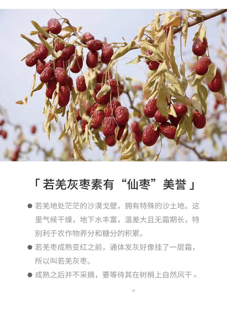 【自然集】 - 枣夹核桃 300g