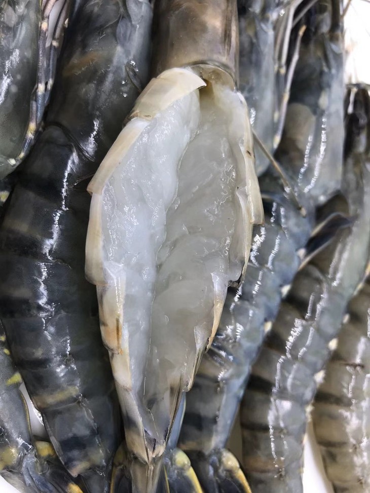 马来西亚活冻黑虎虾顺丰到付