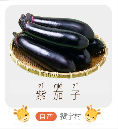 儿童紫茄子（儿童专区） 商品图0