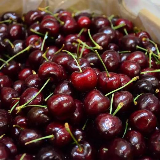 双JJ纯冰车厘子 商品图8