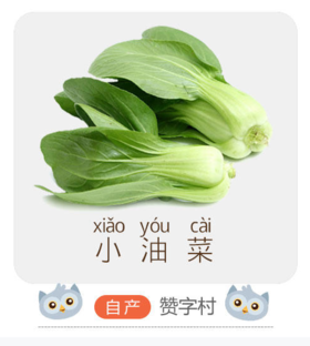 博瑞自产有机认证儿童小油菜