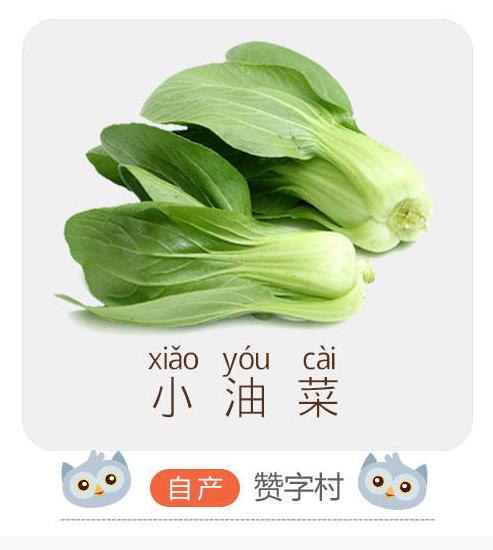 博瑞自产有机认证儿童小油菜 商品图0