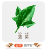 博瑞自产有机认证儿童菠菜 商品缩略图0
