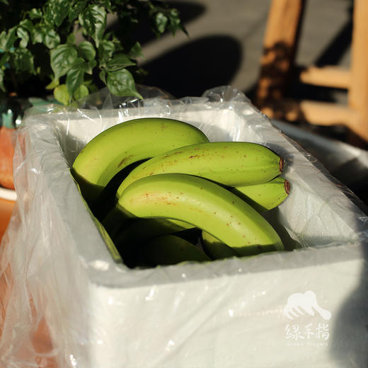 生态香蕉（圆通）| 合作生产 * Eco-banana | Partner Production 商品图3