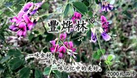 礼品卡