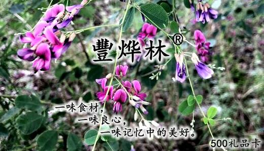 礼品卡 商品图0