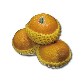 澳洲甜心柚1000g 口感细腻 酸甜多汁