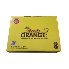 金钱豹春见粑粑柑 20个头盒装新鲜水果品