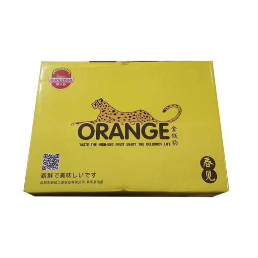 金钱豹春见粑粑柑 20个头盒装新鲜水果品 商品图0