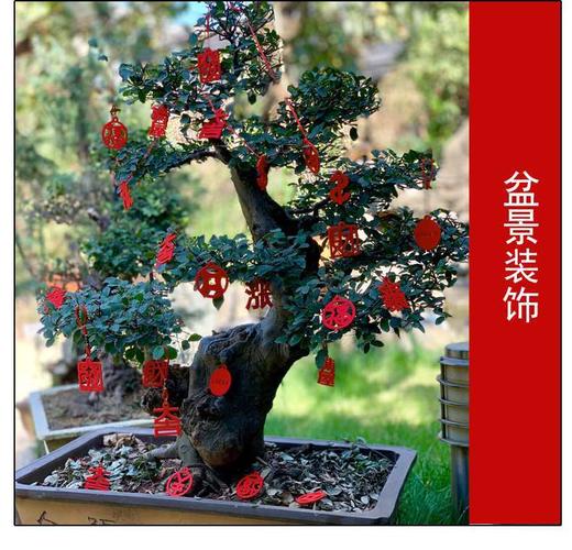 绒字-福娃 商品图0