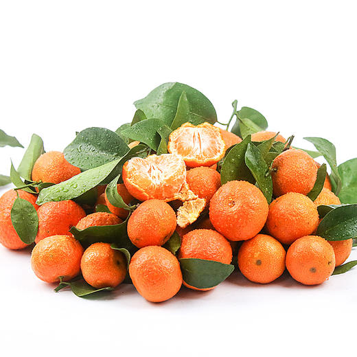 广东佛冈砂糖桔5斤 橘子味道香甜 果子饱满多汁 新鲜上市 全国非偏远