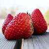 四川沙地红颜草莓400克 商品缩略图2