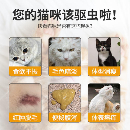 德国拜耳原装进口爱沃克体内外驱虫药滴剂 商品图2