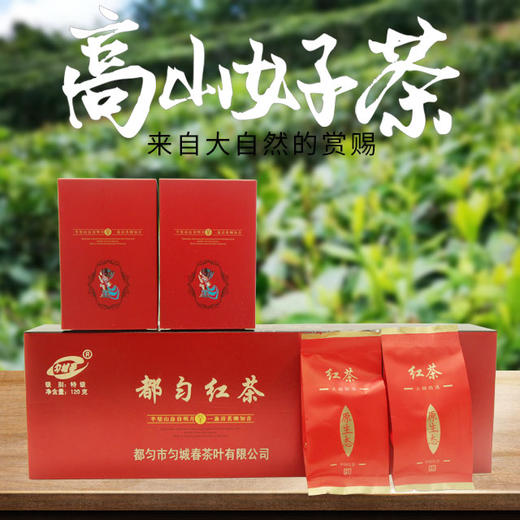 【2026年新茶】都匀毛尖红茶 匀城春特级红茶 手工茶条盒装120克 商品图1