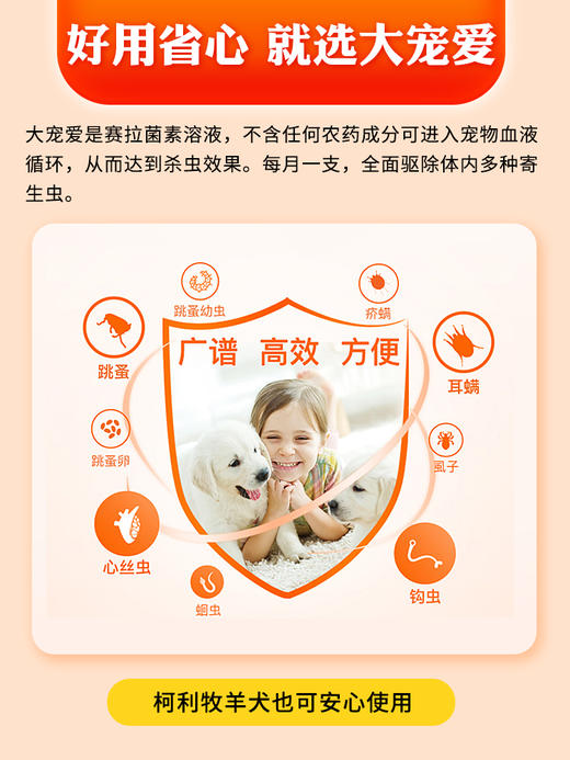 大宠爱幼犬成犬内外同驱滴剂3支 商品图6